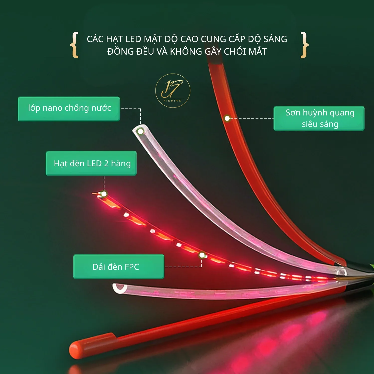 PHAO ĐIỆN CẢM BIẾN ĐUÔI LED CHUYÊN CHÉP 3
