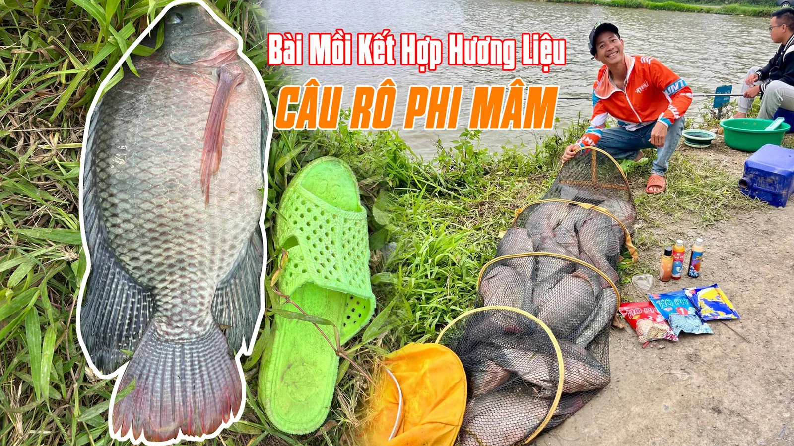 Câu Rô Mâm Cùng Bài Mồi Kết Hợp Hương Liệu Tránh Cá Con Hiệu Quả | VIETNAM FISHING TV