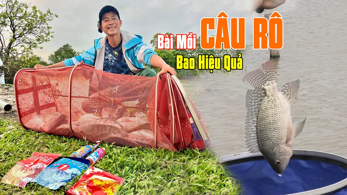 Bài Mồi Kết Hợp Hương Liệu Câu Rô Hiệu Quả | VIETNAM FISHING TV