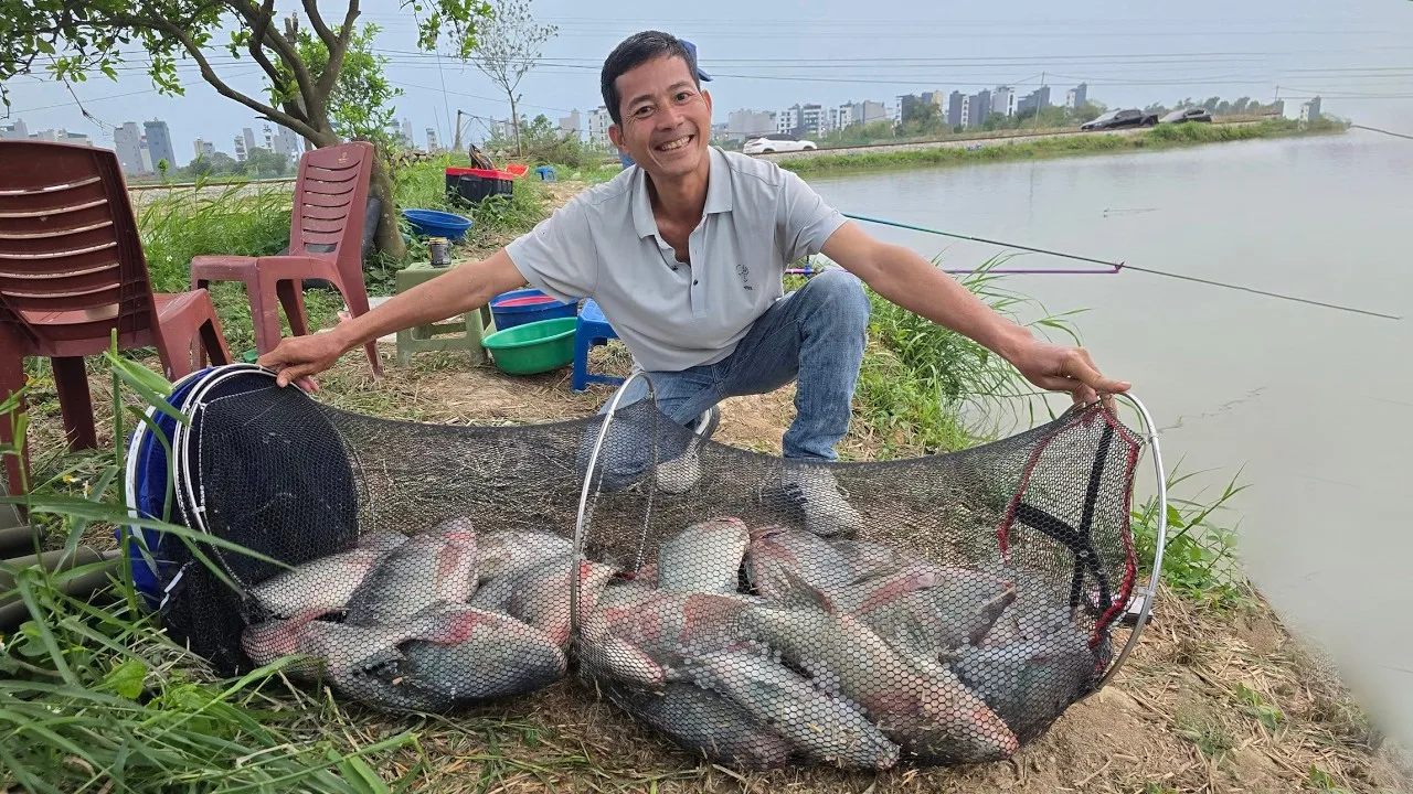 Bài Mồi Câu Rô Phi Tự Nhiên Hiệu Quả | VIETNAM FISHING TV