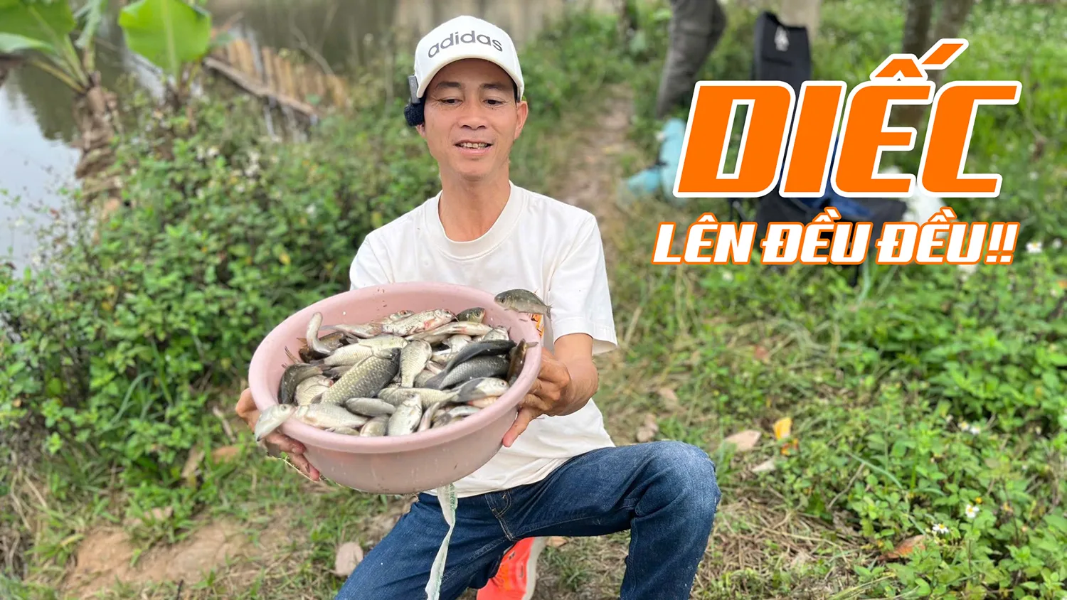 Bài Mồi Câu Diếc Tự Nhiên Cực Kỳ Hiệu Quả | VIETNAM FISHING TV