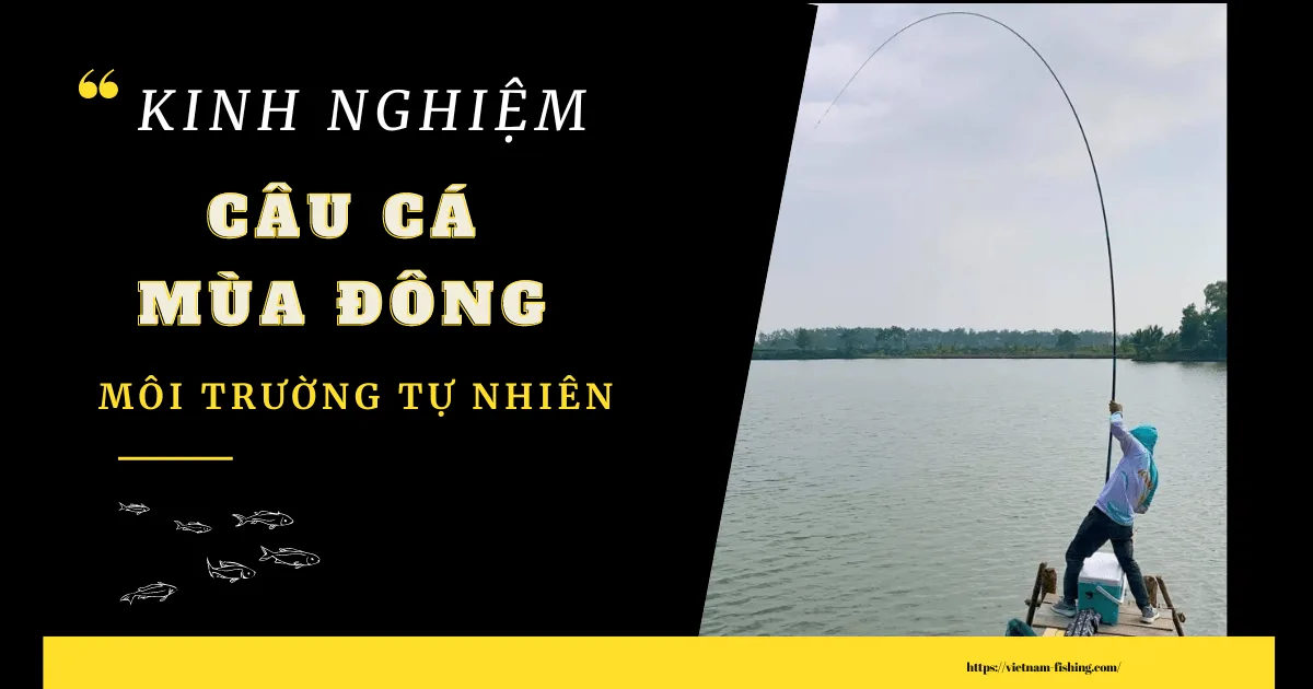 2 kinh nghiệm câu cá mùa đông môi trường tự nhiên