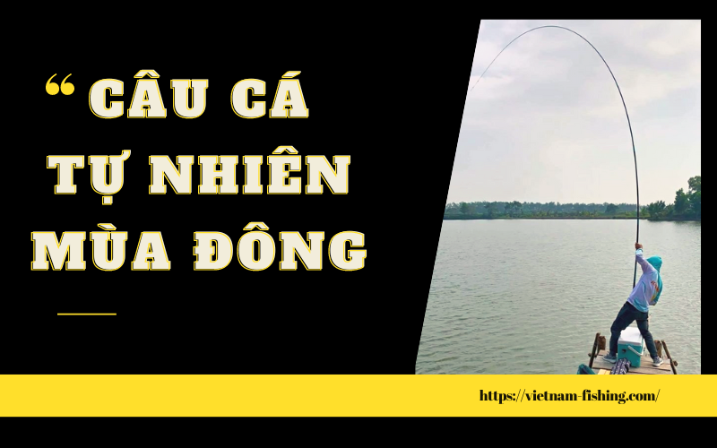 câu cá mùa đông 1