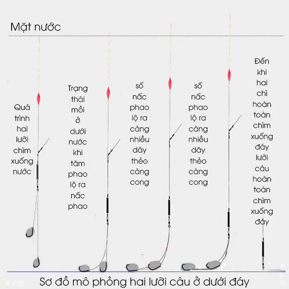 4 BƯỚC ĐỂ CHỈNH PHAO MỘT CÁCH CHÍNH XÁC