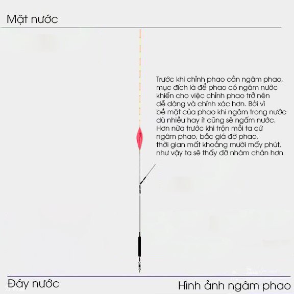 4 Bước cân chỉnh phao