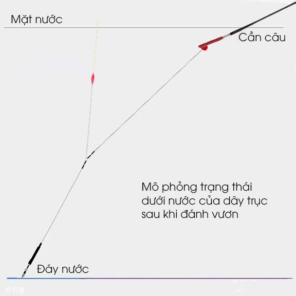4 bước để chỉnh phao một cách chính xác