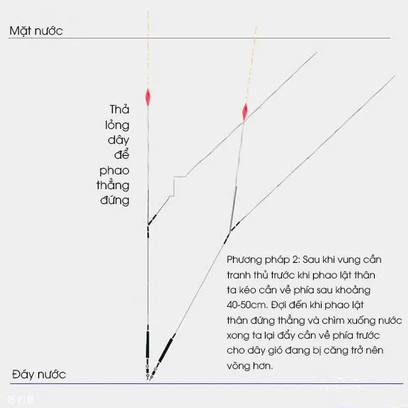 4 Bước chỉnh phao một cách chính xác