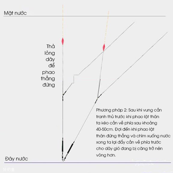 4 Bước chỉnh phao một cách chính xác