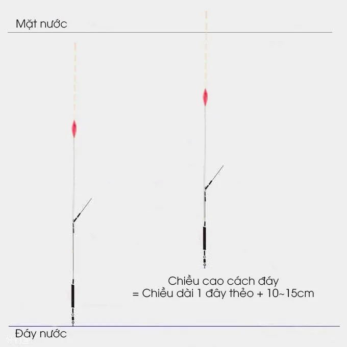 chỉnh phao một cách chính xác