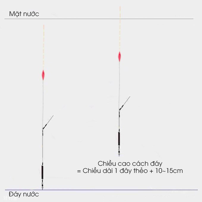 chỉnh phao một cách chính xác