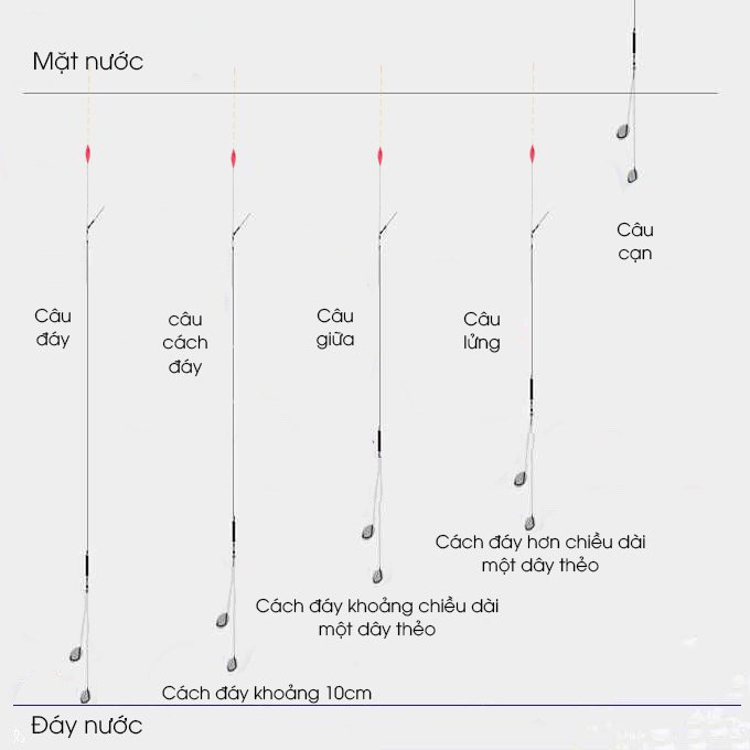 chỉnh phao một cách chính xác