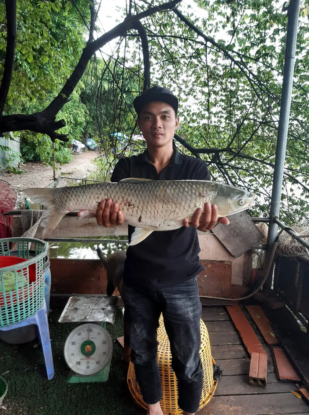 Mực nước câu cá trắm cỏ vào cuối Thu và đầu Đông