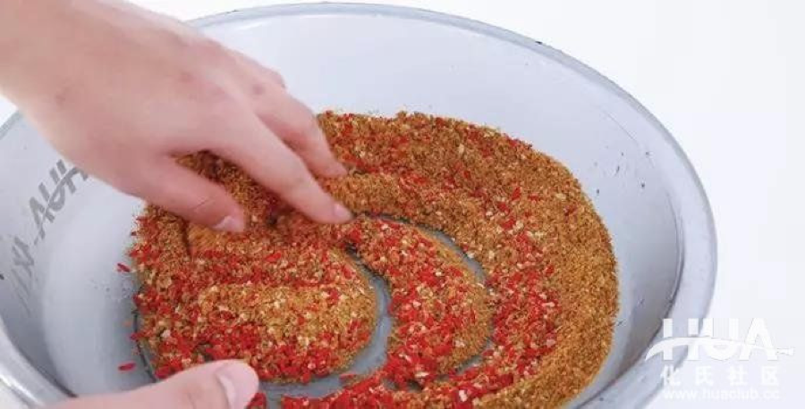 Tại sao cá không ăn mồi
