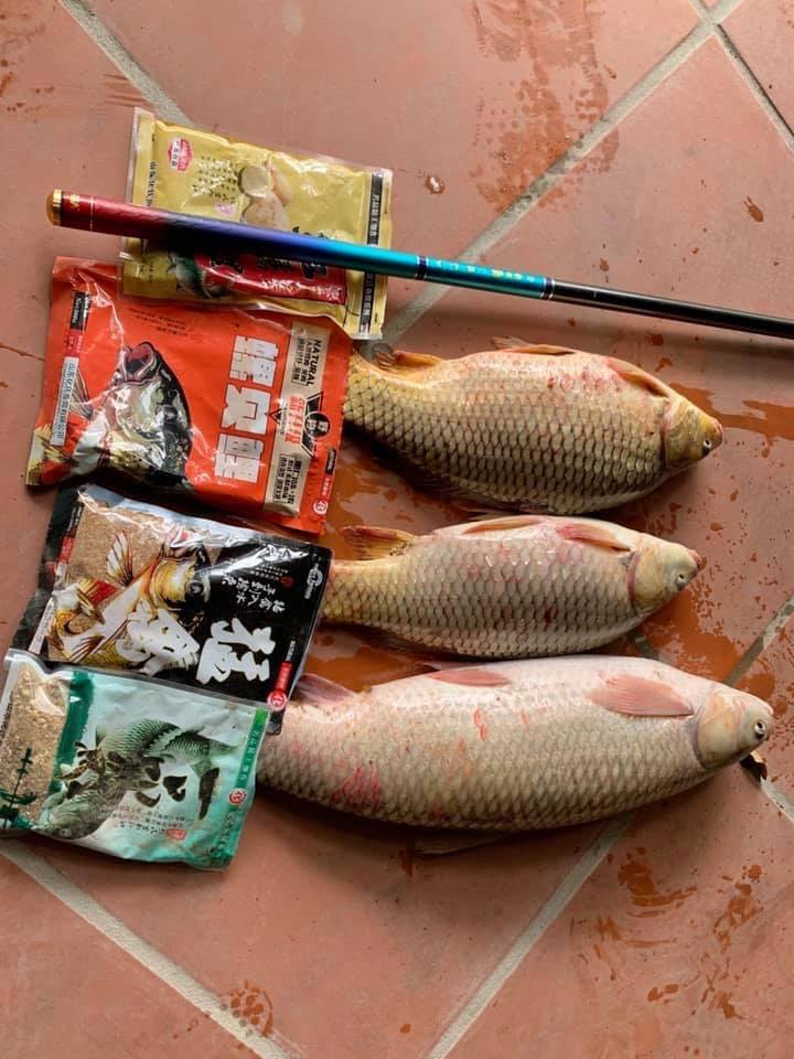 Mồi câu cá lớn tự nhiên
