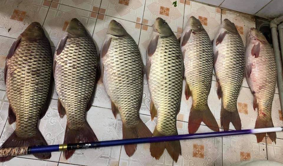 size dây thẻo size dây thẻo