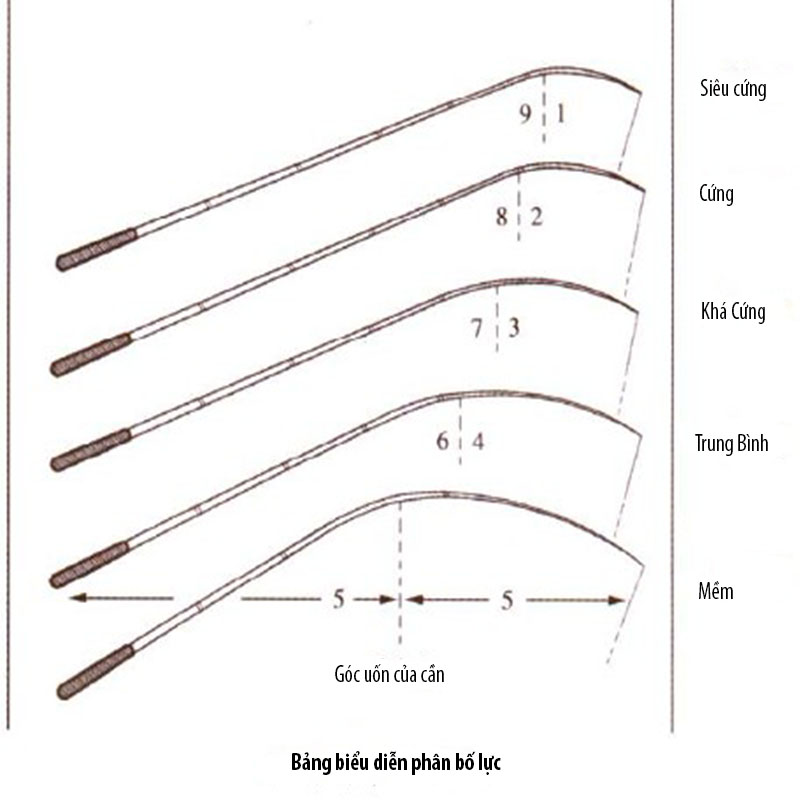 kinh nghiệm lựa chọn cần câu tay