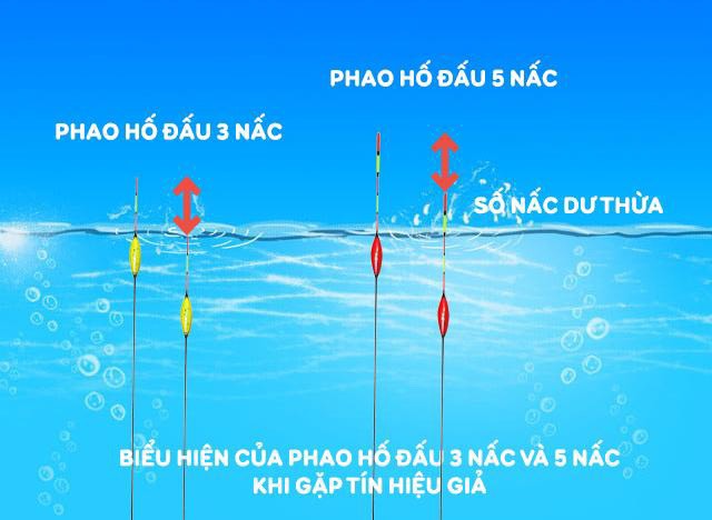 Phao hố đấu