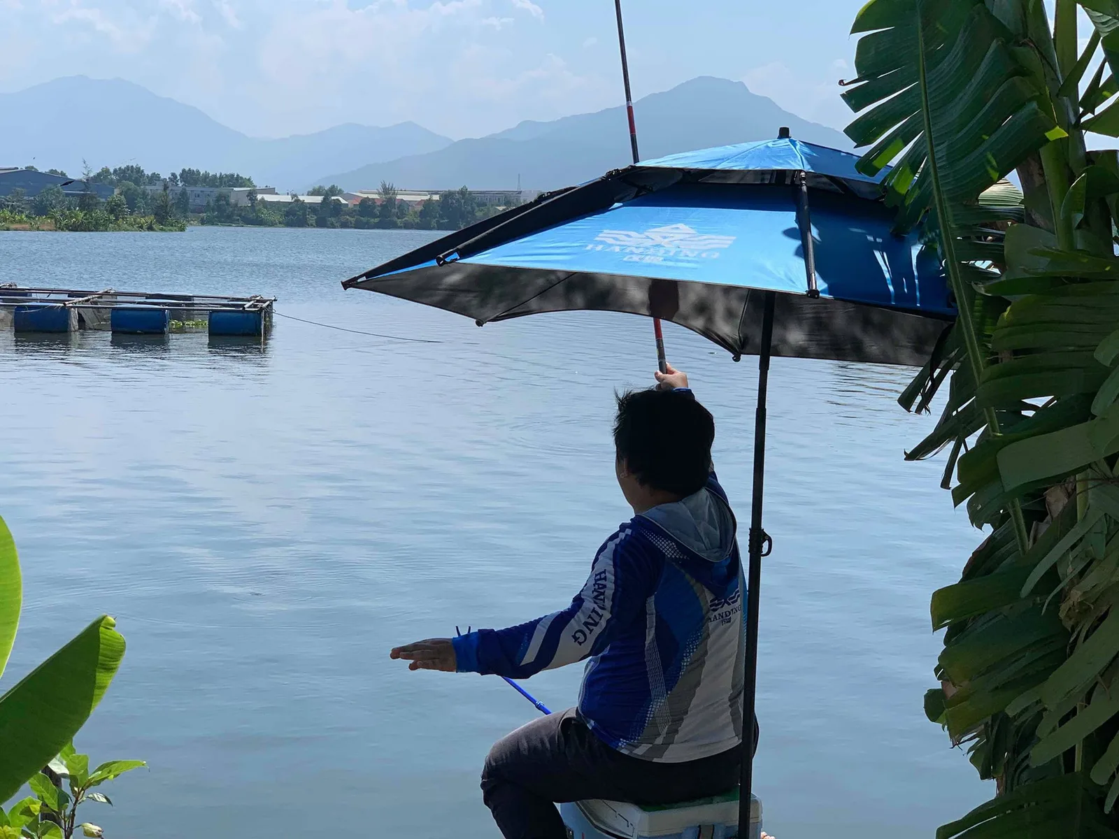 Thế nào là câu lụt và câu nhạy trong câu đơn, câu đài?