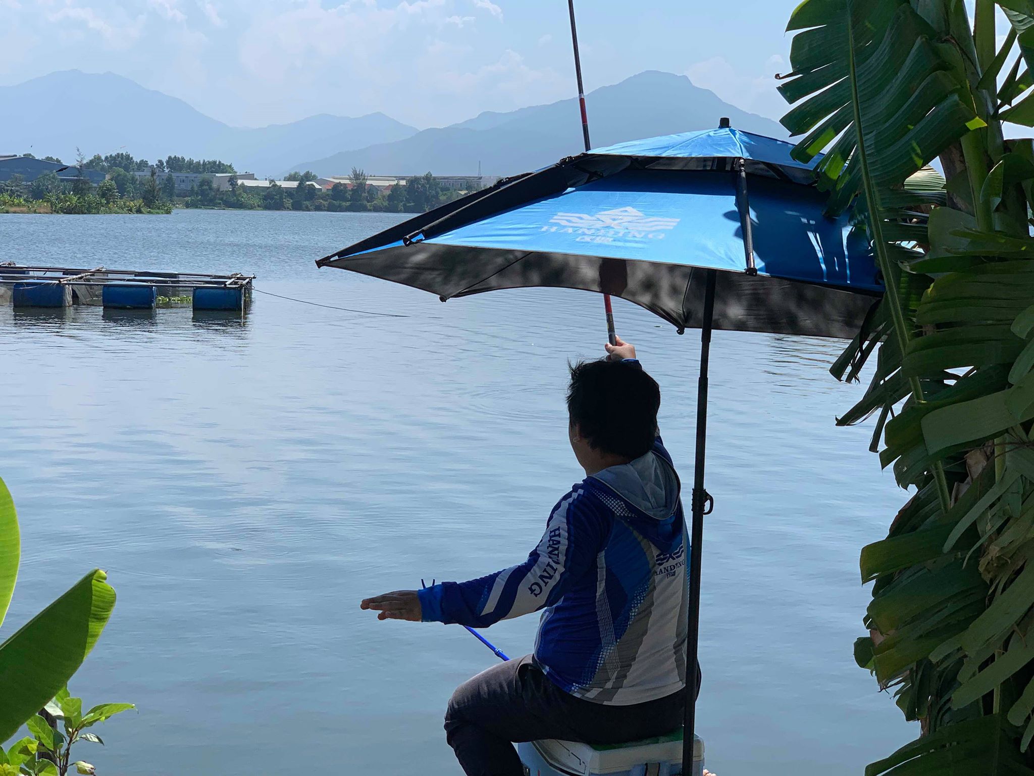 Thế nào là câu lụt và câu nhạy trong câu đơn, câu đài?
