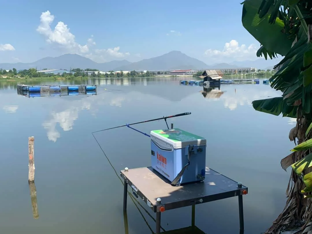 Cách câu lửng và câu đáy trong câu đơn, câu đài